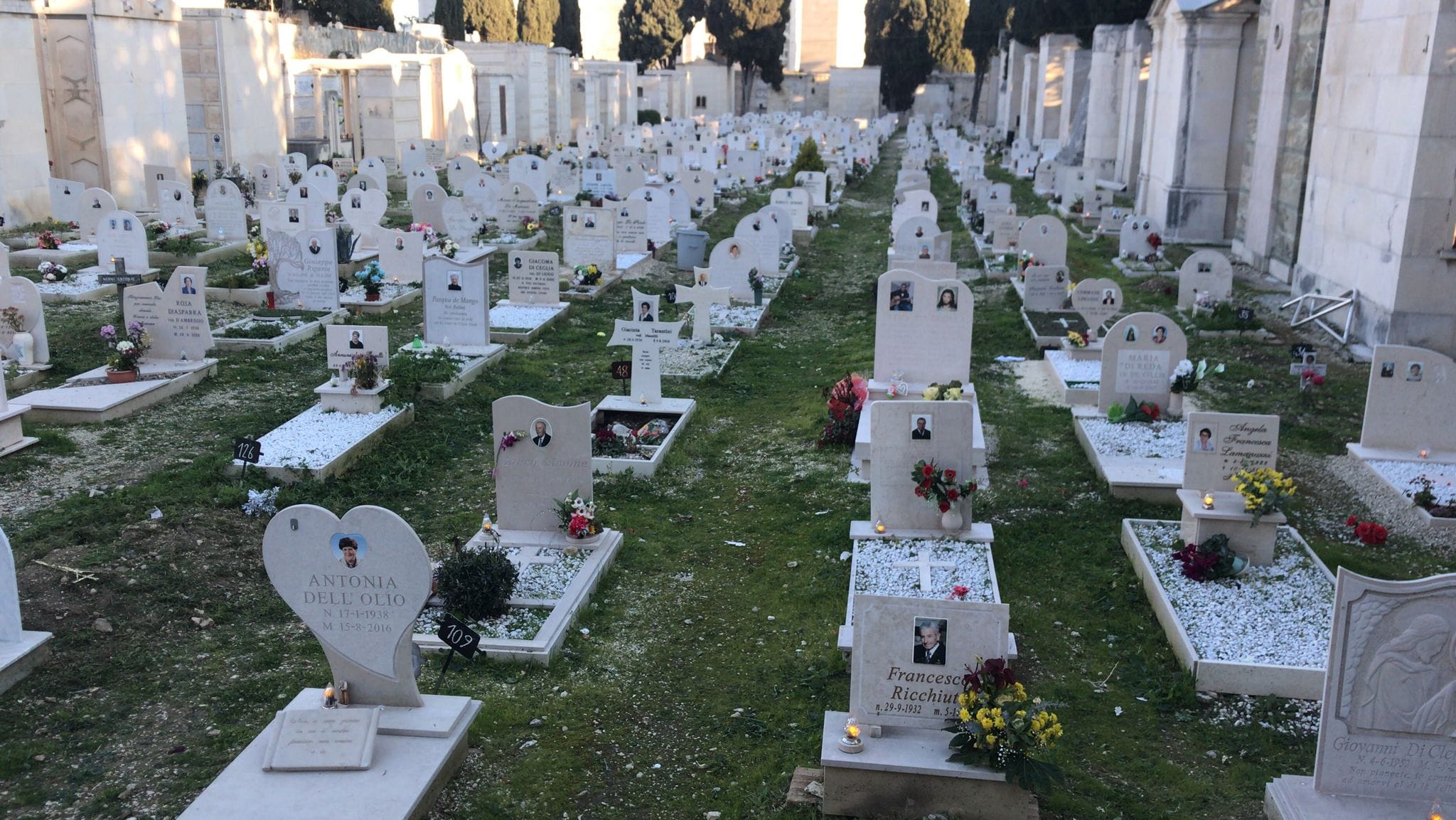 Napoletano (Il Faro-Pci): la mia amara riflessione sul degrado del cimitero di Bisceglie