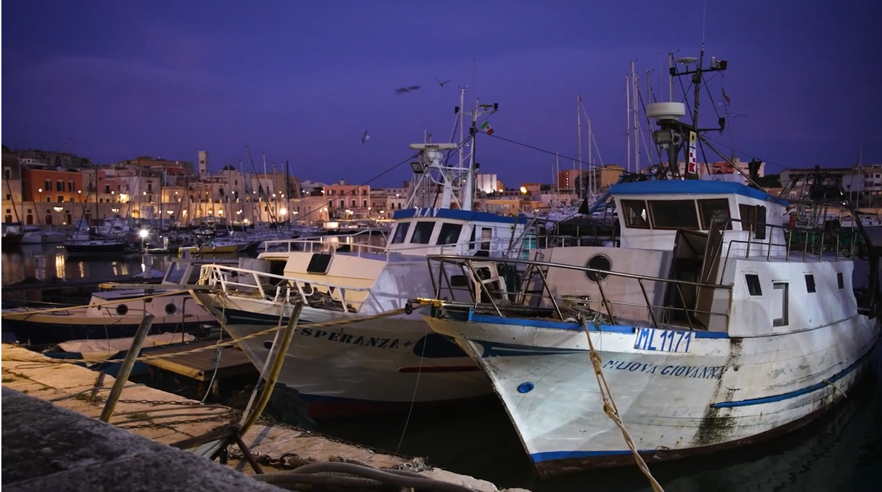 Turismo, Silvestris: «Una spiaggia urbana sul porto, con panchine sdraio su cui rilassarsi» (IL VIDEO)