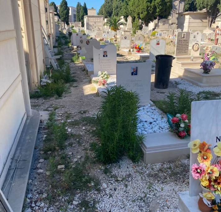 Spina: «A Bisceglie la gestione Pd-destra sta mandando alla deriva la città»