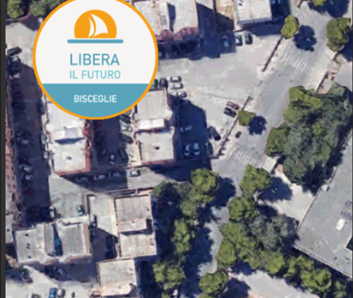Libera il Futuro: “Per i pini di via Di Vittorio, nessuna speranza?”