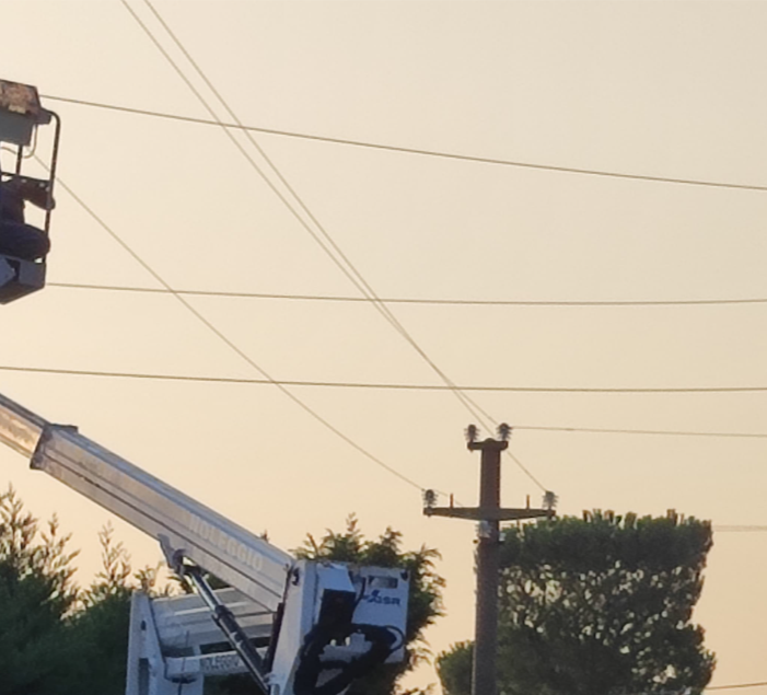 Morte operaio agricolo a Bisceglie, Azione: vittima sul lavoro, le manifestazioni cittadine osservino un minuto di raccoglimento
