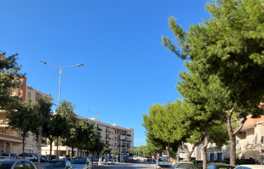 Pini di via Di Vittorio: altri 20 alberi si possono salvare, la perizia alternativa inviata ad Angarano