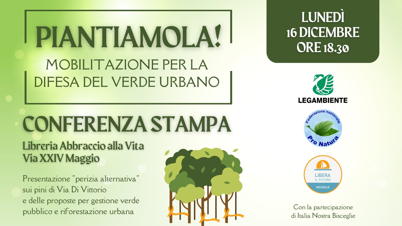 Pini di via Di Vittorio e gestione del verde urbano: conferenza stampa di Pro Natura, Legambiente e Libera il Futuro