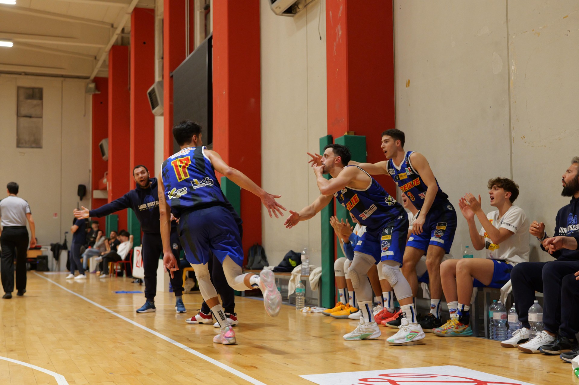 I Lions Bisceglie passano anche ad Angri e ora vedono i playoff