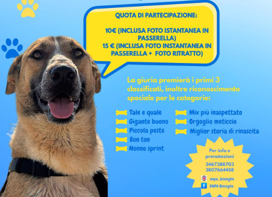 “Cani in passerella” per amore e solidarietà: la seconda edizione a Bisceglie