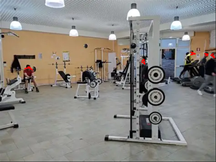 Alpha Gym festeggia i suoi 10 anni con un evento aperto a tutta la città