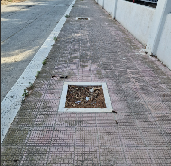 Verde pubblico, Spazio Civico: danni ambientali ed economici a Bisceglie