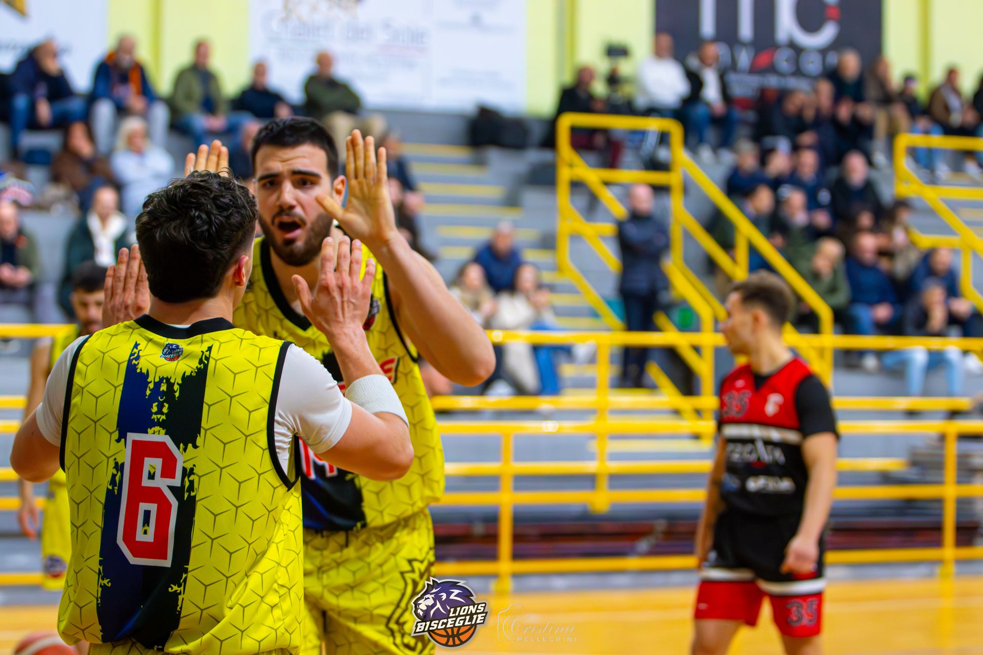 I Lions Bisceglie dominano  e gestiscono sul parquet di Pesaro
