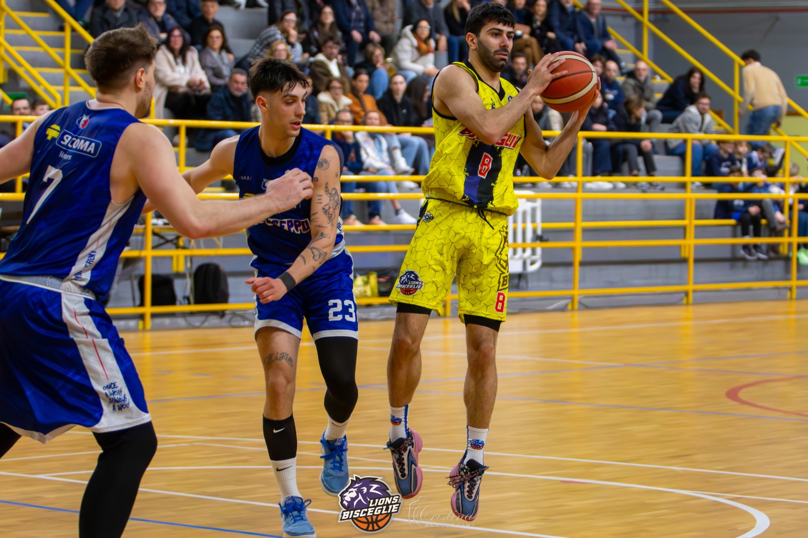 Lions Bisceglie, accelerazione irresistibile: Perugia va ko