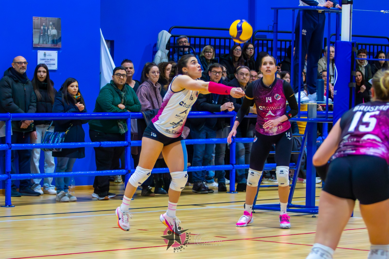 La Star Volley Bisceglie piega Vibo  e mette il quarto posto in cassaforte